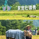 峒那屿湾 - 崇左市旅游 缩略图 3