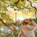 朝阳公园西里北区 - 北京市旅游 缩略图 5