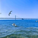 大连棒棰岛景区 - 大连市旅游 缩略图 3