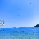 大连棒棰岛景区 - 大连市旅游 缩略图 5