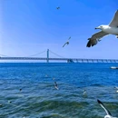 大连棒棰岛景区 - 大连市旅游 缩略图 4