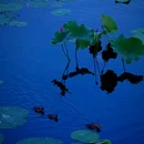杭州西湖风景名胜区-西泠桥 - 杭州市旅游 缩略图 6
