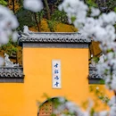 古鸡鸣寺 - 南京市旅游 缩略图 3