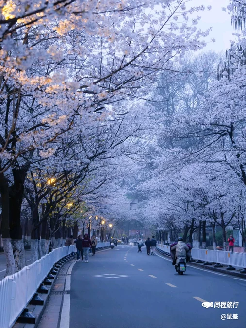 古鸡鸣寺 - 南京市旅游