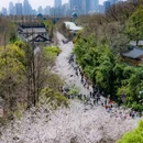 古鸡鸣寺 - 南京市旅游 缩略图 6