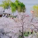 古鸡鸣寺 - 南京市旅游 缩略图 7