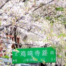 古鸡鸣寺 - 南京市旅游 缩略图 9