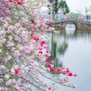 蠡园 - 无锡市旅游 缩略图 8