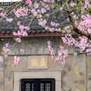 蠡园 - 无锡市旅游 缩略图 9