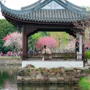 蠡园 - 无锡市旅游 缩略图 6