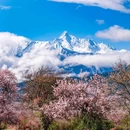 南迦巴瓦峰 - 林芝市旅游 缩略图 3