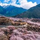 南迦巴瓦峰 - 林芝市旅游 缩略图 2