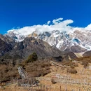 南迦巴瓦峰 - 林芝市旅游 缩略图 7