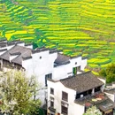 婺源篁岭度假区 - 上饶市旅游 缩略图 2