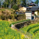 婺源篁岭度假区 - 上饶市旅游 缩略图 6