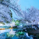 无锡太湖鼋头渚风景区 - 无锡市旅游 缩略图 3