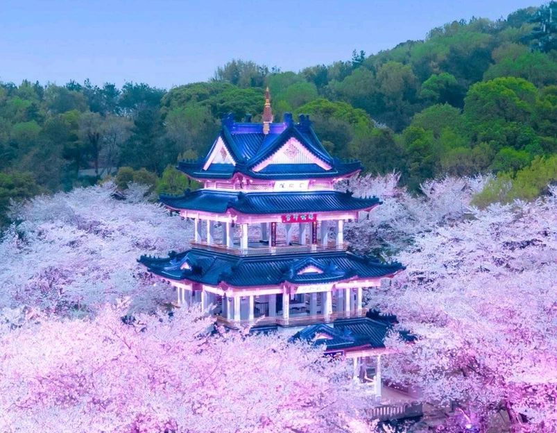 无锡太湖鼋头渚风景区 - 无锡市旅游 1