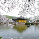 无锡太湖鼋头渚风景区 - 无锡市旅游 缩略图 6
