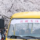 无锡太湖鼋头渚风景区 - 无锡市旅游 缩略图 7