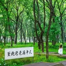 富春山馆 - 杭州市旅游 缩略图 9