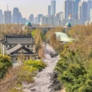 颐和路 - 南京市旅游 缩略图 4