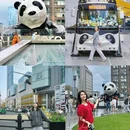 熊猫基地西门巴士换乘站 - 成都市旅游 缩略图 4