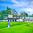 万春·和林稻海 - 成都市旅游 缩略图 9