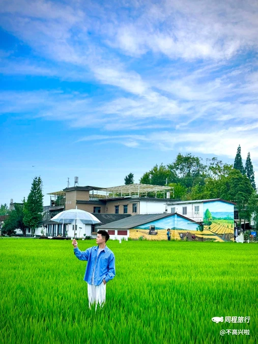 万春·和林稻海 - 成都市旅游