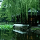 桥西·历史街区 - 杭州市旅游 缩略图 5