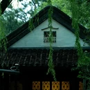 桥西·历史街区 - 杭州市旅游 缩略图 4