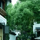 桥西·历史街区 - 杭州市旅游 缩略图 3
