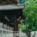 桥西·历史街区 - 杭州市旅游 缩略图 8