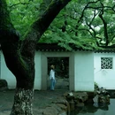 桥西·历史街区 - 杭州市旅游 缩略图 9