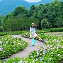 宝山旅游景区 - 成都市旅游 缩略图 1