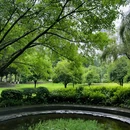 东湖公园 - 成都市旅游 缩略图 3