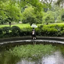 东湖公园 - 成都市旅游 缩略图 4