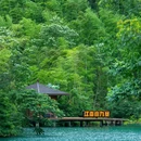 莫干山风景名胜区 - 湖州市旅游 缩略图 9