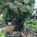 溧阳市戴埠镇横涧村委深溪岕村 - 常州市旅游 缩略图 5