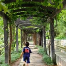 溧阳市戴埠镇横涧村委深溪岕村 - 常州市旅游 缩略图 8