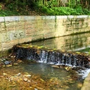 溧阳市戴埠镇横涧村委深溪岕村 - 常州市旅游 缩略图 9