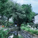 溧阳市戴埠镇横涧村委深溪岕村 - 常州市旅游 缩略图 6
