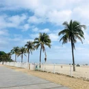 十里银滩风景区 - 阳江市旅游 缩略图 2