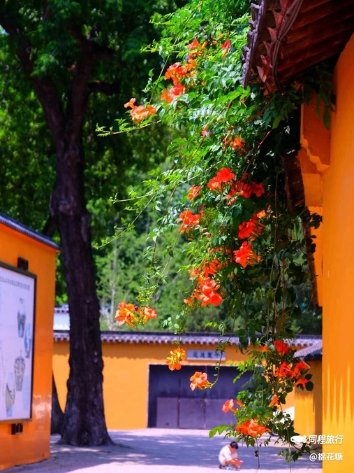 虎丘山风景名胜区 - 苏州市旅游