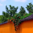 虎丘山风景名胜区 - 苏州市旅游 缩略图 3