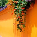 虎丘山风景名胜区 - 苏州市旅游 缩略图 7