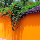 虎丘山风景名胜区 - 苏州市旅游 缩略图 9