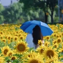 瘦西湖风景区-南门售票处 - 扬州市旅游 缩略图 7