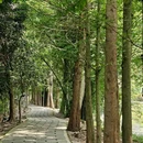 北溪湿地公园 - 成都市旅游 缩略图 4