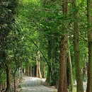北溪湿地公园 - 成都市旅游 缩略图 3