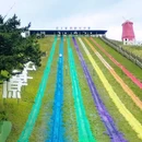 安吉云上草原·吉舍民宿 - 湖州市旅游 缩略图 8